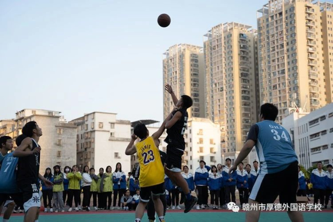 1612408119342875.jpg 0 (3).jpg
