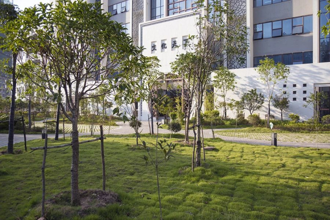 图片关键词 图片关键词