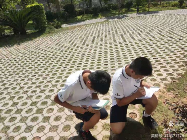 图片关键词