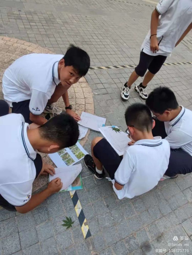图片关键词