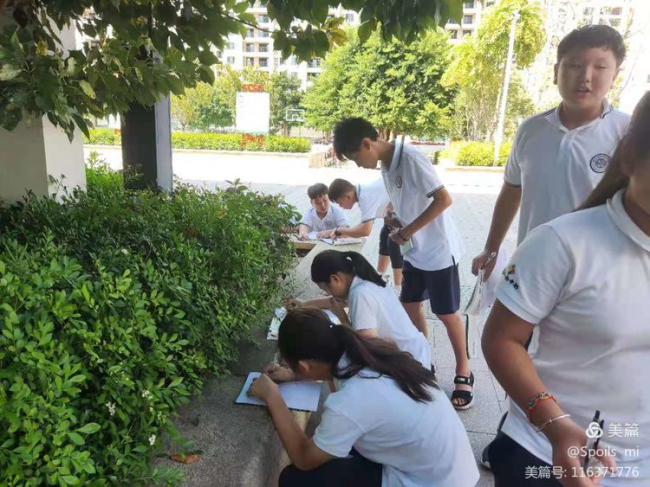 图片关键词