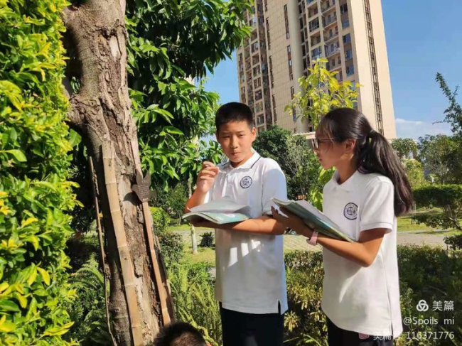 图片关键词