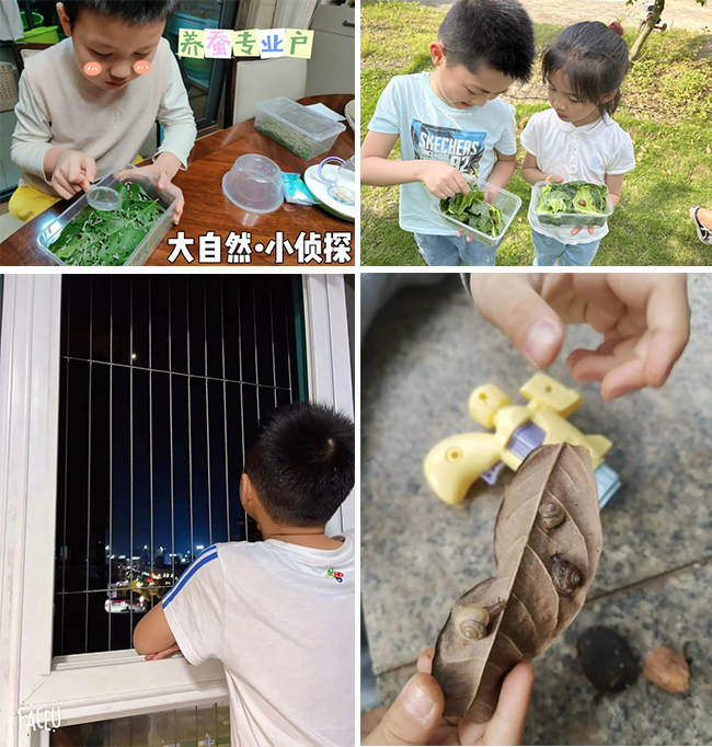 图片关键词