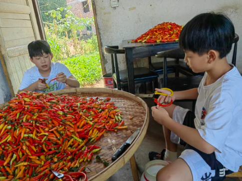 图片关键词
