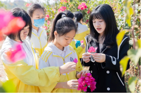 图片关键词