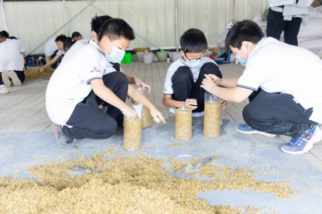 图片关键词