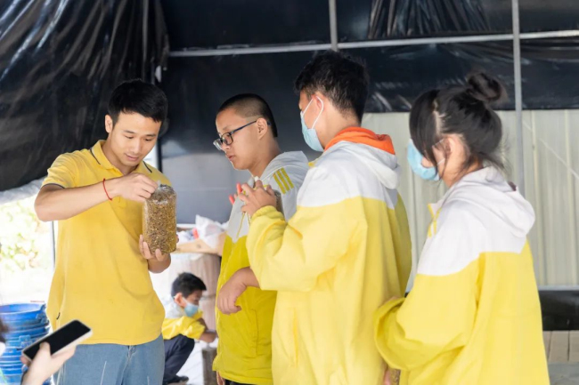 图片关键词
