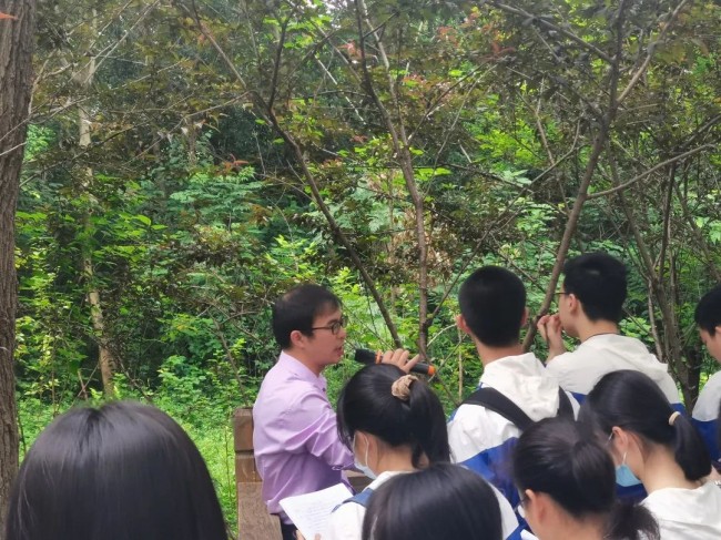 图片关键词