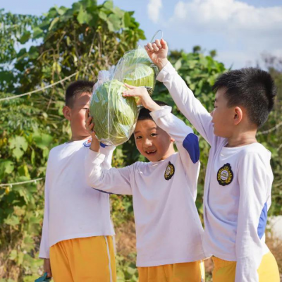 “探寻自然秘密、体验劳动快乐”——小学部一年级绿色文化研学之旅