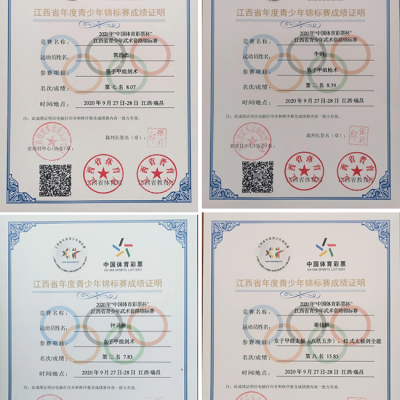 喜报 - 我校学子代表赣州市参加江西省青少年武术套路锦标赛获佳绩