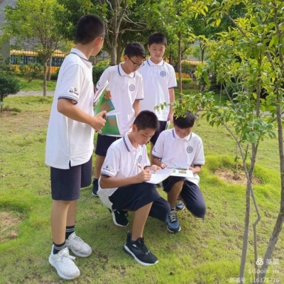 调查校园植物 提升科学素养