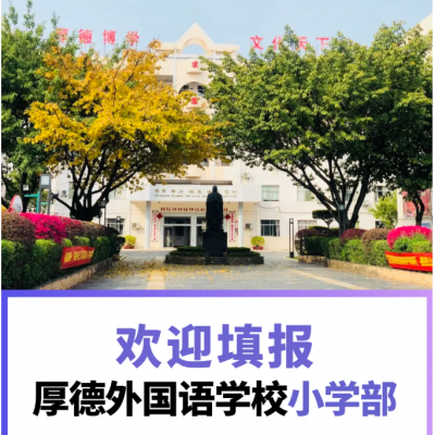 一文读懂 - 厚德外国语学校小学部2026年秋季一年级新生学位填报指南